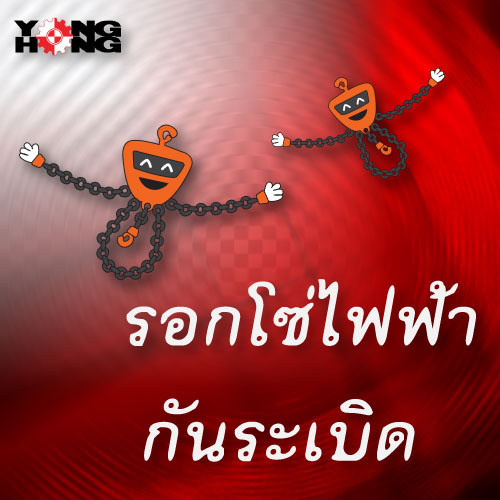 รอกโซ่ไฟฟ้ากันระเบิด (Explosion Proof Electric Chain Hoist)