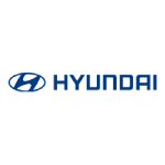 Hyundai Hoist